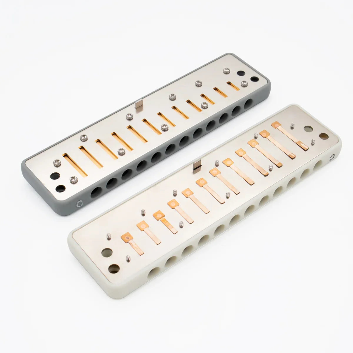 Two disassembled harmonica reed plates with brass reeds and screws, showcasing internal components for repair or customization.