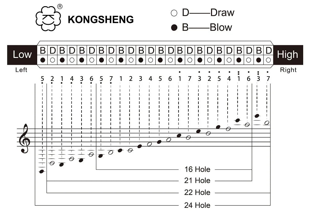 Spec sheet showing harmonica hole layout and notes