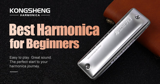What Is the Best Harmonica for Beginners? A Complete Buying Guide