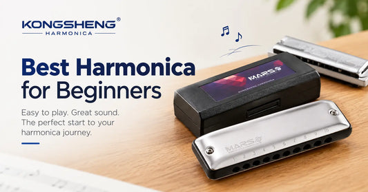 What Is the Best Harmonica for Beginners? A Complete Buying Guide