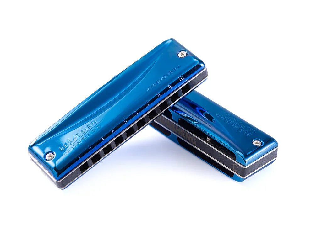 Blues Harmonica 10 Hole - KONGSHENG BlueBird