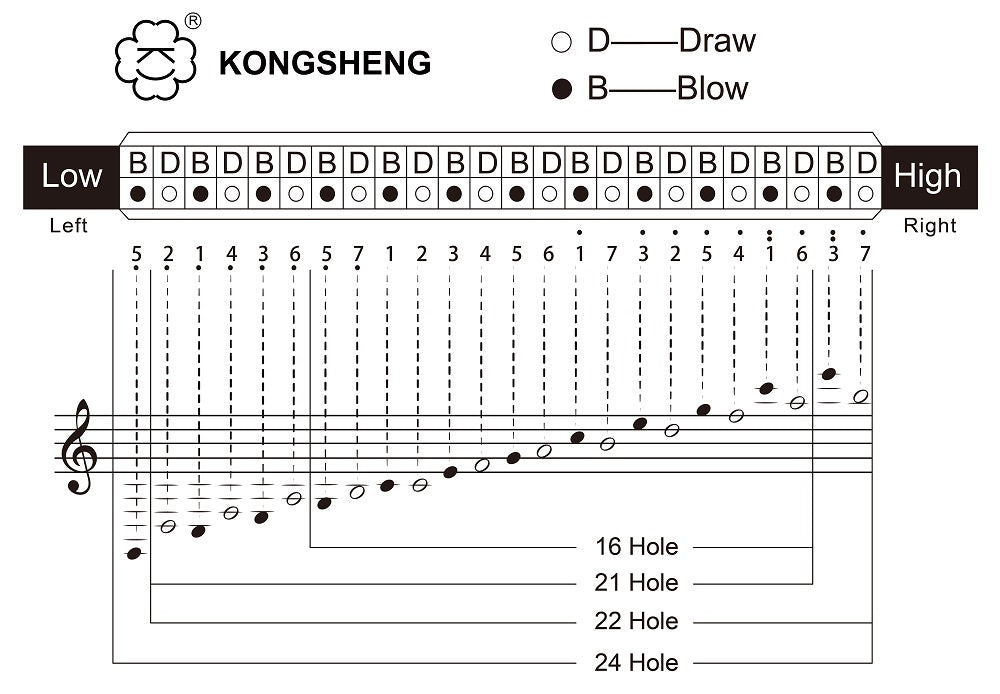 KONGSHENG 2430 24-Hole Octave Harmonica